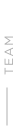 Text label displaying the word "TEAM" in a minimalist design, suitable for team-related content or branding.